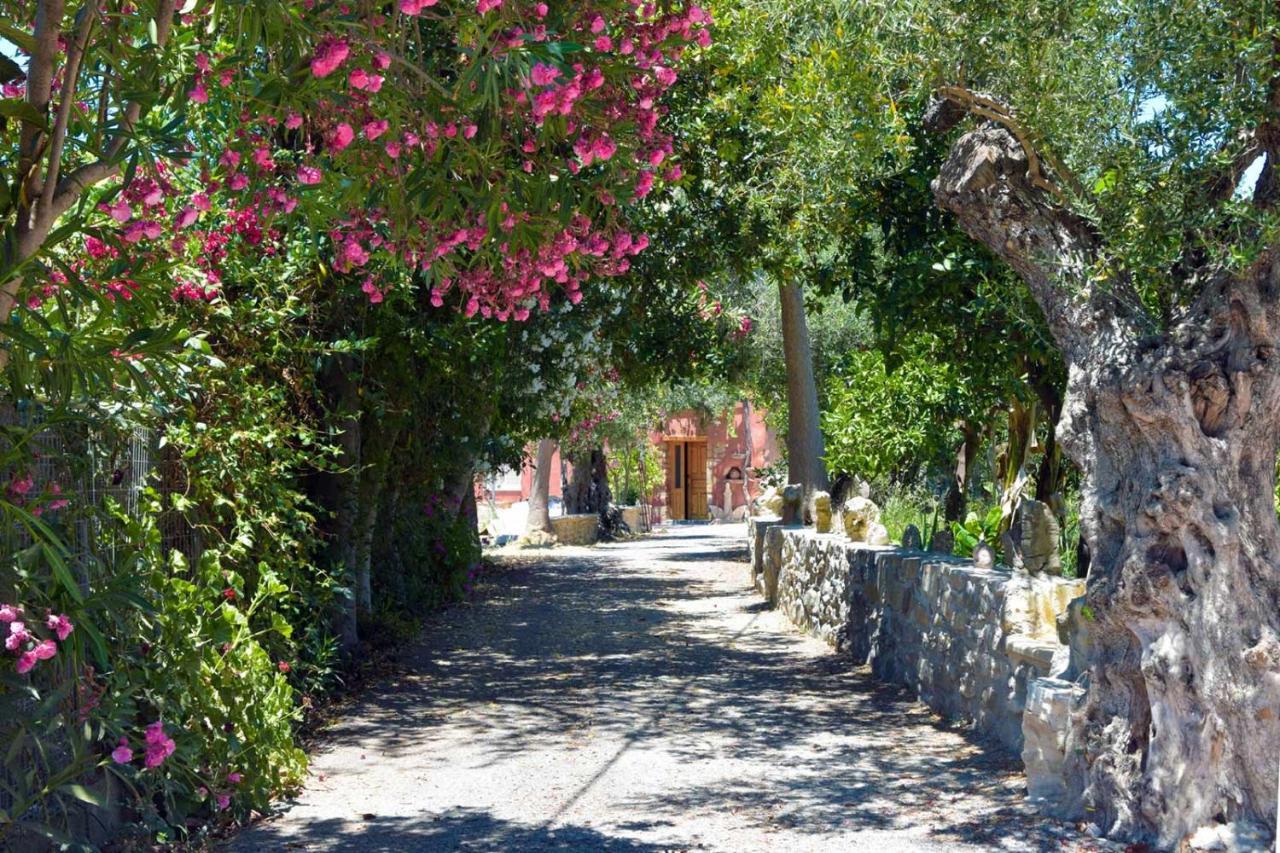 Avocado Villas Chania (Crete) Exteriör bild